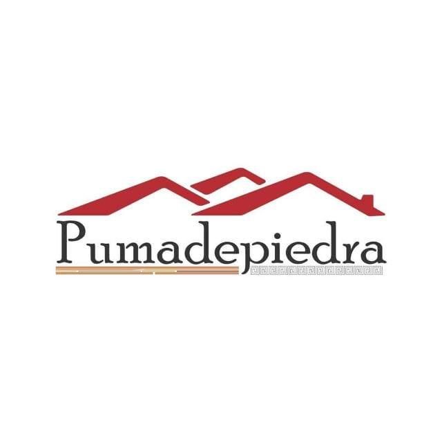 Puma de Piedra