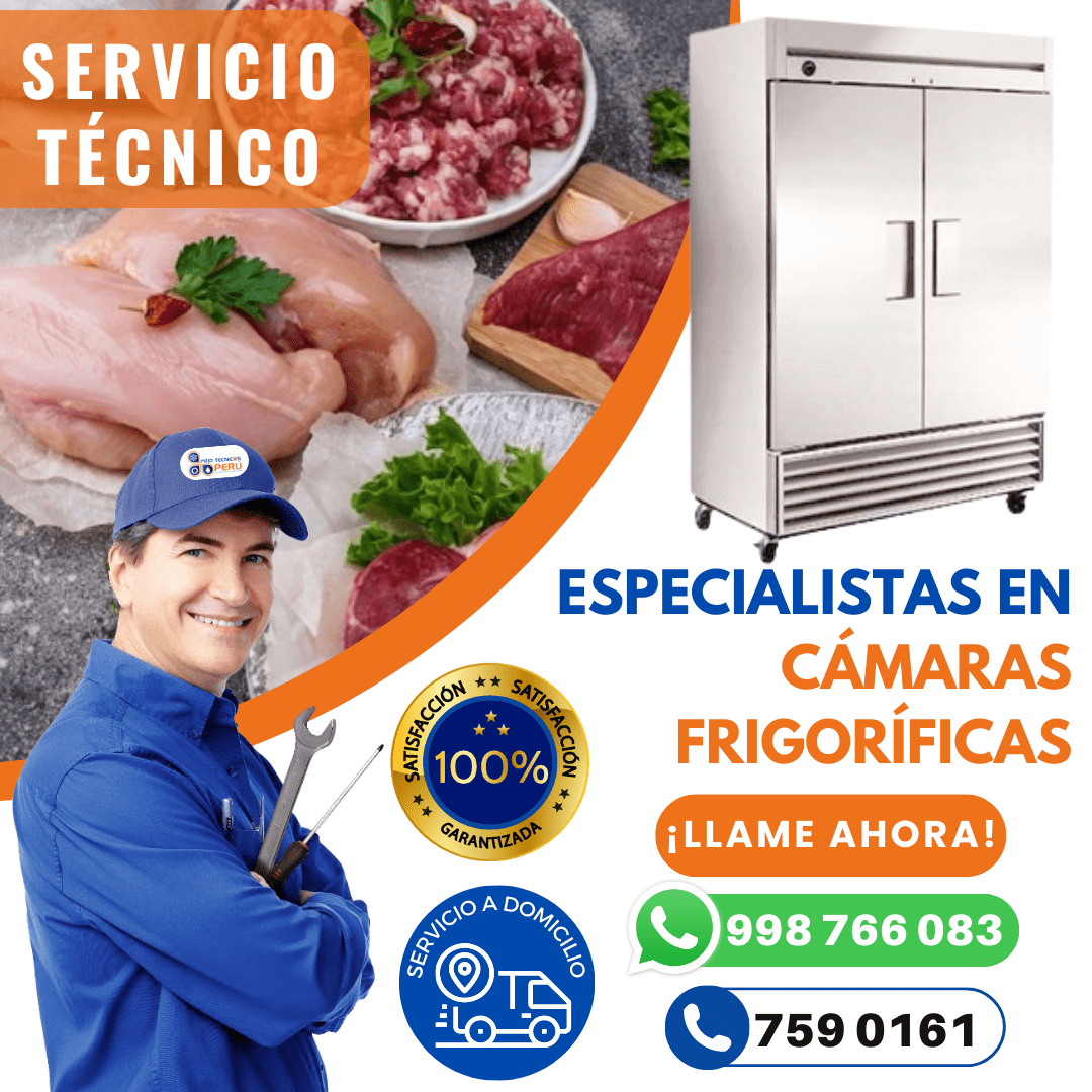 Refrigeración Comercial e Industrial 998766083