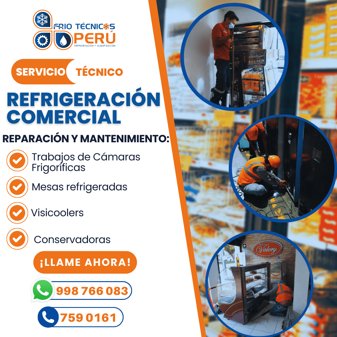 998766083- MANTENIMIENTO DE CONGELADORAS Y CONSERVADORAS